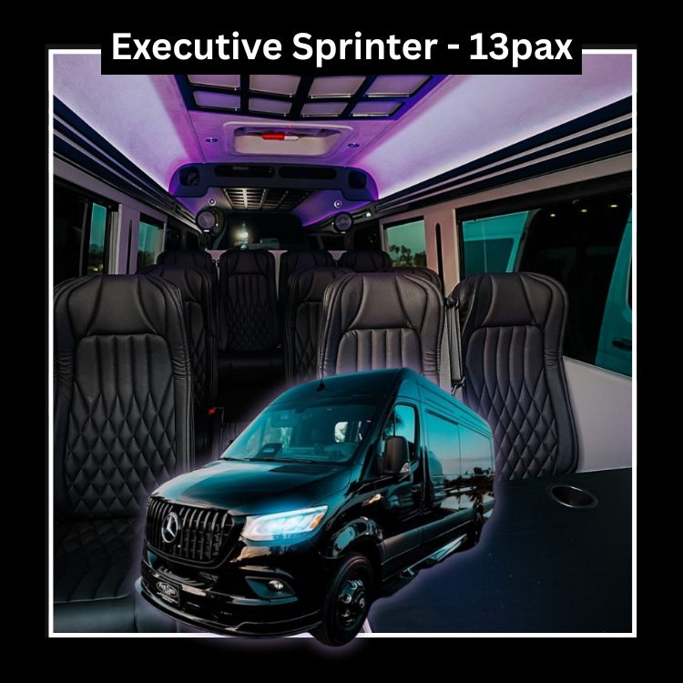 $210 per/hr | $405 one-way