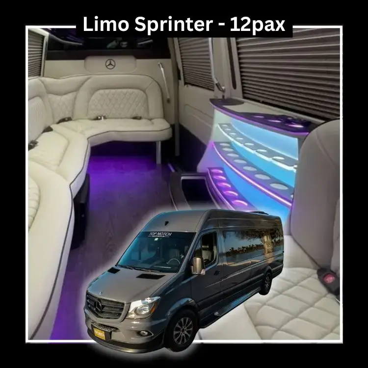 $205 per/hr | $400 one-way