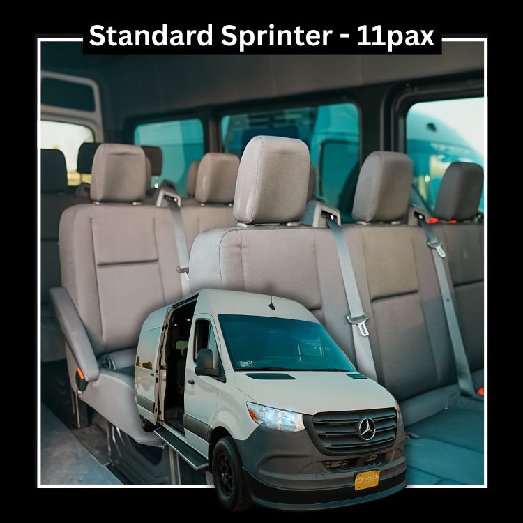 $185 per/hr | $350 one-way