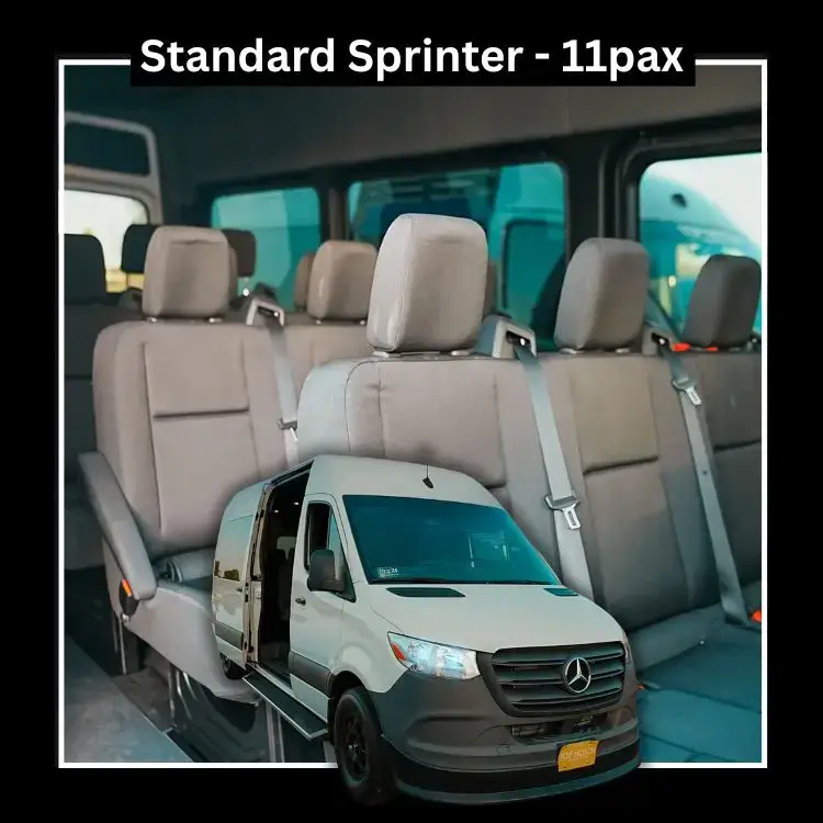 $185 per/hr | $350 one-way