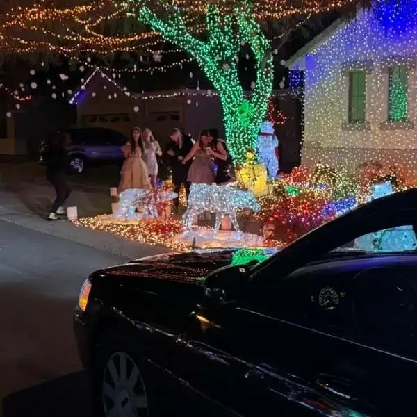 Christmas_Light_Homes_3