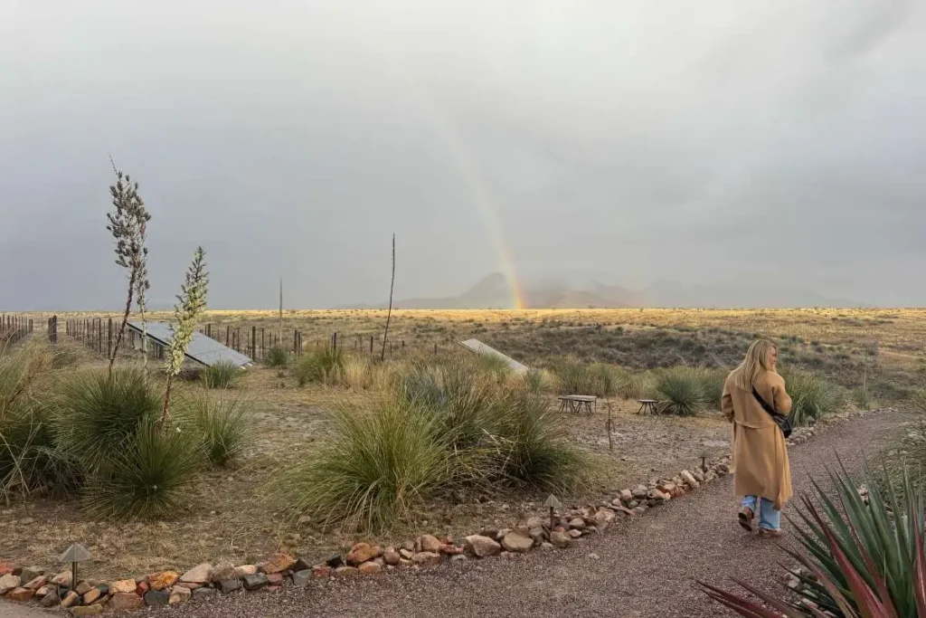 Scenic vineyard view outside the Rune Winery tasting room in Sonoita, Arizona